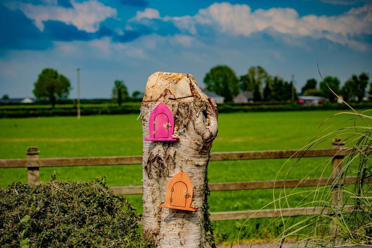 The Ring Farmhouse Birr Eksteriør billede